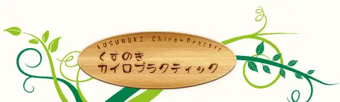 船橋市 整体 くすのきカイロプラクティック